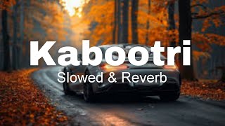 Kabootri  Slowed  Reverb  Diler Kharkiya  Anjali Raghav  Kit Chali  4K Edit Status 01 [upl. by Evelunn219]