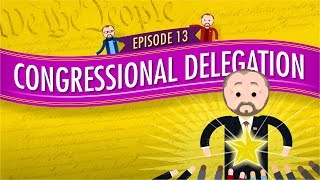 Congressional Delegation Crash Course Government and Politics 13 [upl. by Ainala]