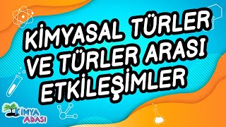 C1  KİMYASAL TÜRLER VE TÜRLER ARASI ETKİLEŞİMLER [upl. by Elyn]