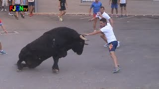 3 Toros de Sants de la Pedra 2013  La Vilavella Castellon Bous al carrer Toros FJGNtv [upl. by Aim]