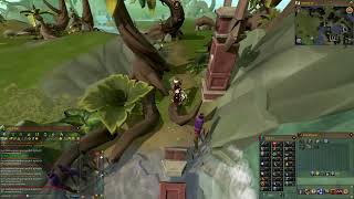 RS3 Anachronia Agility Course [upl. by Hendel]