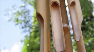 Bamboo Wind Chimes Sound 1 HOUR [upl. by Tarrsus21]