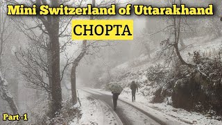 Chopta  Mini Switzerland of Uttrakhand  Uttarakhand  Part 1 [upl. by Greenland]