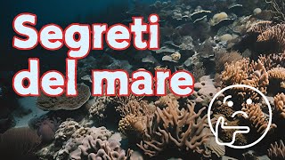 I Segreti Nascosti del Mare Creature Giganti e Misteri Incredibili [upl. by Ellemrac]