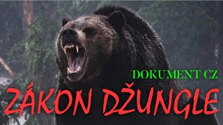 ÚŽASNÁ PLANETA  Zákon džungle DOKUMENT [upl. by Etsyrk732]