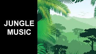 Jungle Music amp Jungle Theme 2 Hours of the Best Jungle Drums Music Video [upl. by Cyna529]