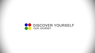 Insights Discovery Profile Overview [upl. by Edras]