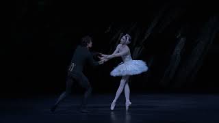 Swan Lake – End of Act II Lauren Cuthbertson The Royal Ballet [upl. by Elsworth311]