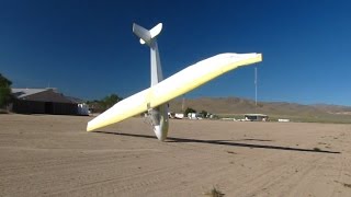 Most Hated Video Death of a Sailplane Total carnage SGS 233 [upl. by Eralc349]