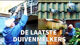 De Laatste Duivenmelkers The Last Pigeon Fanciers  Amsterdams Peil [upl. by Gorden247]