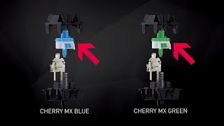 USER EDUCATION Tactile CHERRY MX Switches in Detail [upl. by Annaehr706]