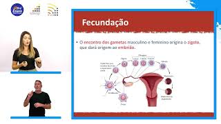 Biologia  Gametogênese e Embriologia [upl. by Nerine]