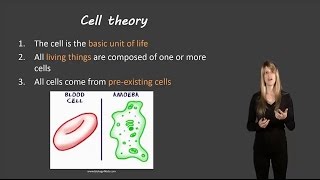 Cell theory [upl. by Airegin]