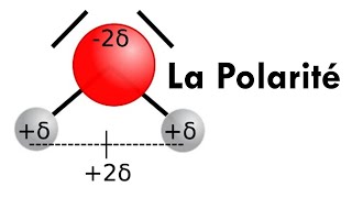 La polarité Définition et Application en Chromatographie sur Couche Mince [upl. by Jaddo346]