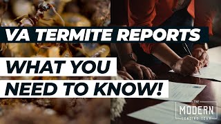 VA Termite Report Termite Inspection Explained [upl. by Assilla]