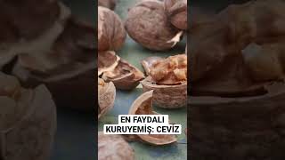 En Faydalı Kuruyemiş CEVİZ [upl. by Nixon]