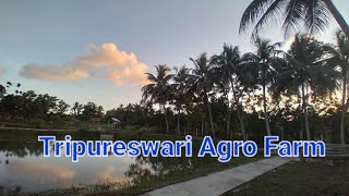 Tripureswari Agro farm [upl. by Nnahaid]