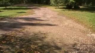 Crushed Concrete or Gravel For Driveway [upl. by Toombs462]