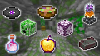 TOP 10 RAREST ITEMS IN MINECRAFT  How To Get Them [upl. by Ced]