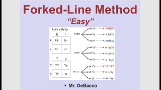 Forked Line Method Easy [upl. by Nedearb232]