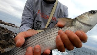 PESCA AL CEFALO Montatura Galleggiante Piombato per Pescare in Mare [upl. by Nomzzaj]