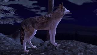 Ultimate Wolf Simulator 2 By Gluten Free games [upl. by Niattirb]