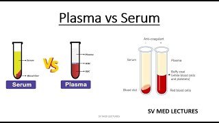 Plasma vs Serum [upl. by Ynhoj]