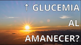 POR QUE TIENES LA GLUCEMIA ALTA POR LA MAÑANA EFECTO AMANECER [upl. by Atsyrt]