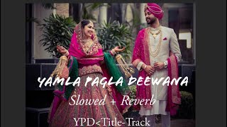 Yamla pagla deewana Slowed  reverb song [upl. by Rufina82]