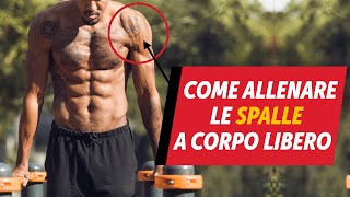 Come allenare le spalle a corpo libero [upl. by Naillimixam]