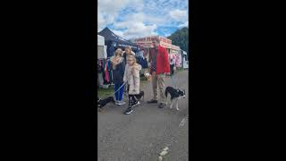 Ldog on tour at paws in the park Kent Detling trailer [upl. by Acitel]