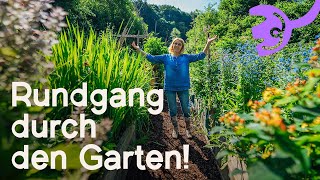 Gartenrundgang Juni 2024  So wächst unser Garten trotz Regen und Schnecken 🐌🌧️ [upl. by Adnuahsor]