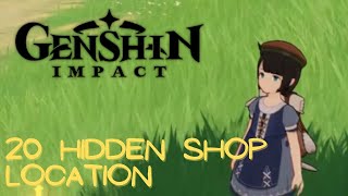 Genshin Impact 20 Hidden Shop Location PC [upl. by Aidyn348]