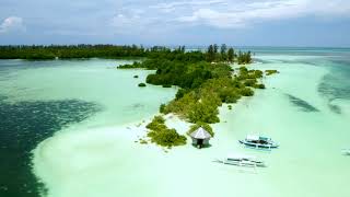 Braggie Mangrove  Balabac Palawan Philippines [upl. by Jerroll]