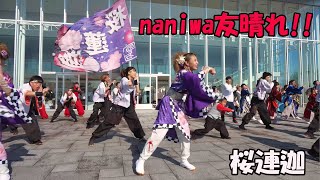 📌naniwa友晴れ 桜連迦 YOSAKOI祭り in 加美 2024 [upl. by Swaine704]