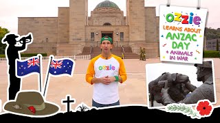 Learn About ANZAC Day for Kids  What is ANZAC Day  ANZAC Day 2024 [upl. by Feetal32]