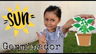 ¿Como hacer un GERMINADOR 🌱  Actividades para niños [upl. by Gorga204]