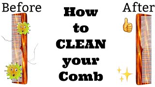 How to Clean a Comb [upl. by Anayit]