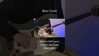 Bass CoverStone Cold BushRed Hot Chili Peppers Bass solobass shorts slap [upl. by Aekal]