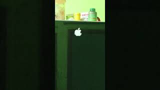 Apple fridge [upl. by Mick523]