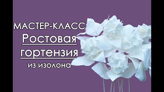 🌸РОСТОВАЯ ГОРТЕНЗИЯ из изолона МастерКласс 2018 [upl. by Nnaylloh536]