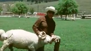 Cantinflas en su hacienda La Purísima Ixtlahuaca México  El rancho de Mario Moreno 1977 [upl. by Iramaj371]