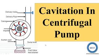 Cavitation In Centrifugal Pump [upl. by Dodi]