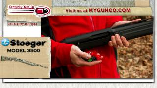 Stoeger 3500 Review and Range Test [upl. by Grannie565]