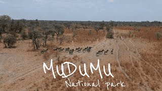 MUDUMU NATIONAL PARK  CAPRIVI  NAMIBIA 2020 [upl. by Killian]