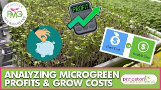 Analyzing Microgreen Profits amp Grow Costs [upl. by Aenyl]