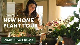 NEW COTTAGE Houseplant Home Tour — Ep 345 [upl. by Ahsekahs359]