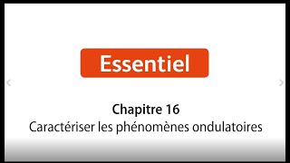 PhysiqueChimie Tle  Schéma bilan  caractériser les phénomènes ondulatoires [upl. by Chickie517]