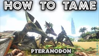 How To Tame  Pteranodon  ARK Survival Evolved Tutorial Xbox One quotPrimitive Methodquot [upl. by Ahsirk]