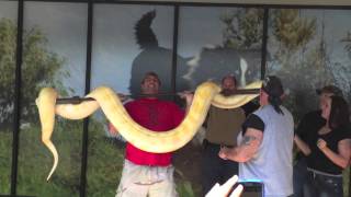 Matt Poe Ernie Lanier PETCO 300 Pound Albino Burmese Python Show and Press 2013 [upl. by Dickenson]